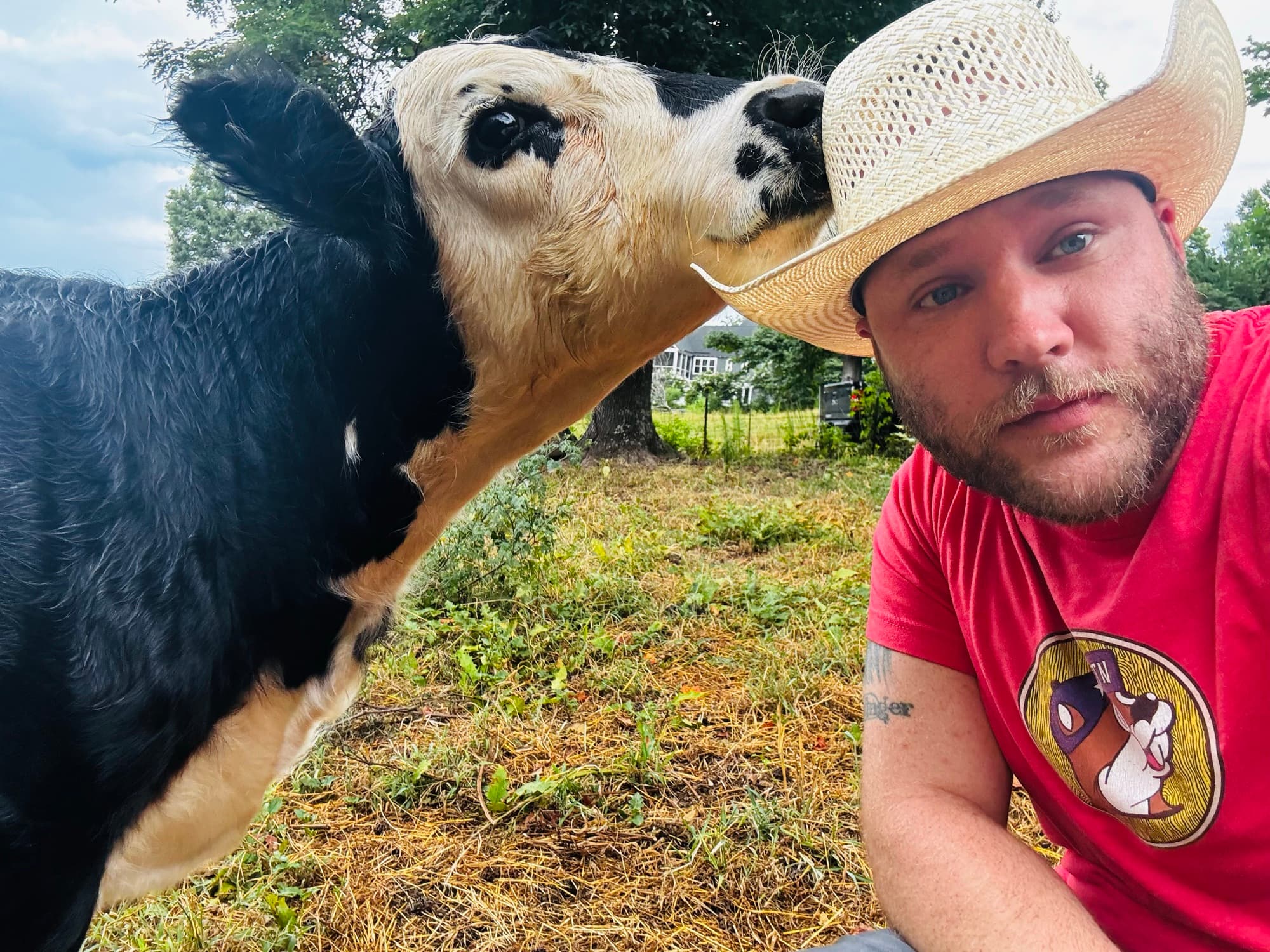 A cow nuzzling Jonathan at the home pasture